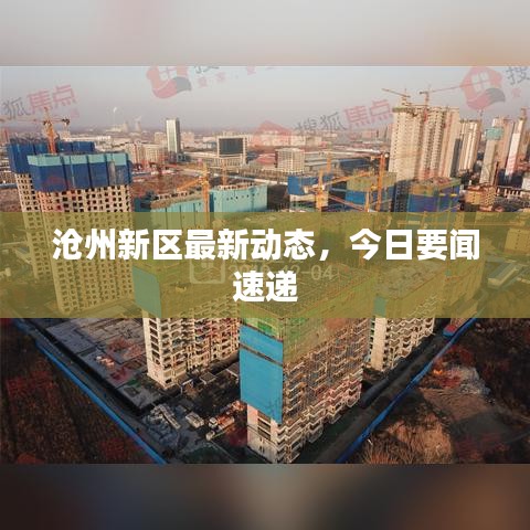 滄州新區(qū)最新動(dòng)態(tài)，今日要聞速遞