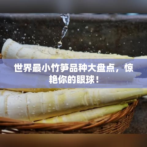 2025年2月19日 第2頁