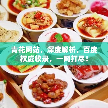 青花網(wǎng)站，深度解析，百度權(quán)威收錄，一網(wǎng)打盡！