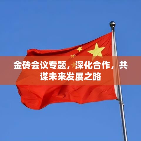 金磚會議專題，深化合作，共謀未來發展之路