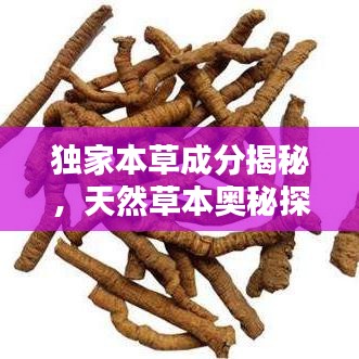 獨家本草成分揭秘，天然草本奧秘探尋