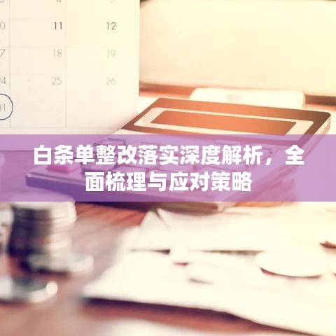 白條單整改落實深度解析，全面梳理與應對策略