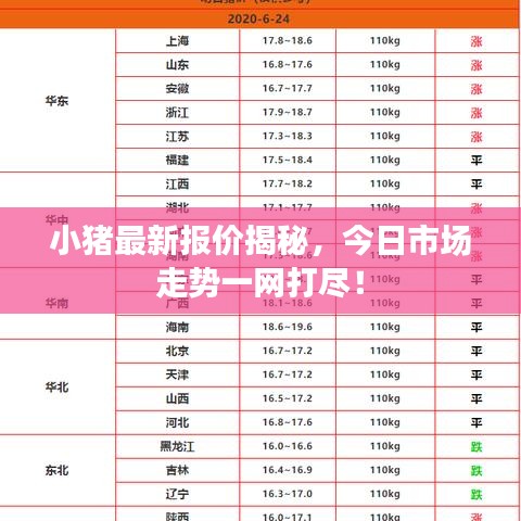 小豬最新報價揭秘，今日市場走勢一網打盡！
