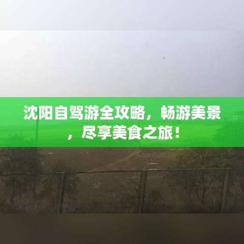 沈陽自駕游全攻略，暢游美景，盡享美食之旅！