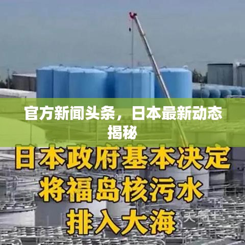 官方新聞頭條，日本最新動態揭秘