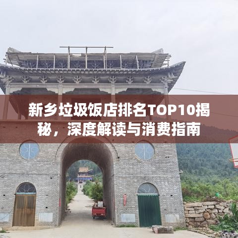 新鄉垃圾飯店排名TOP10揭秘，深度解讀與消費指南
