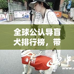 全球公認導盲犬排行榜，帶你了解最信賴的盲犬品種！