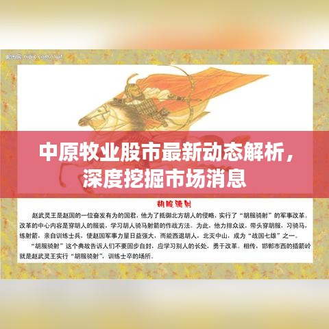 中原牧業(yè)股市最新動態(tài)解析，深度挖掘市場消息