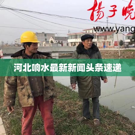 河北響水最新新聞頭條速遞