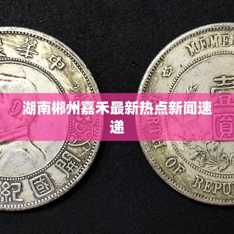 2025年2月25日 第2頁(yè)