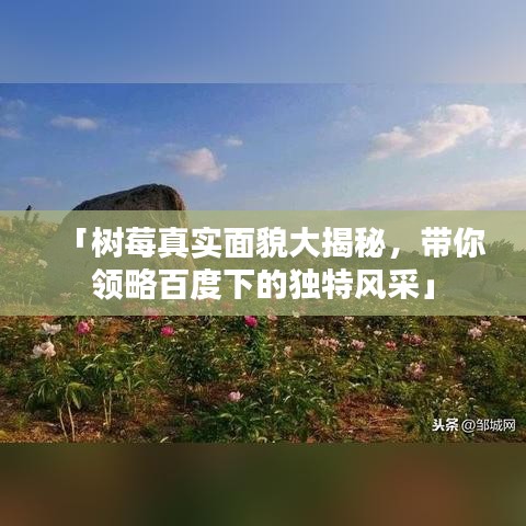「樹莓真實面貌大揭秘，帶你領略百度下的獨特風采」