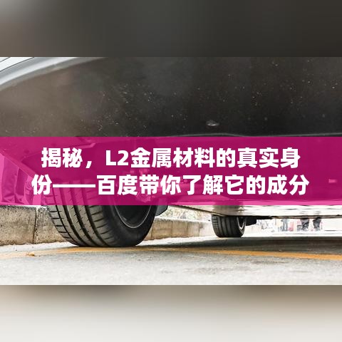 2025年2月 第13頁