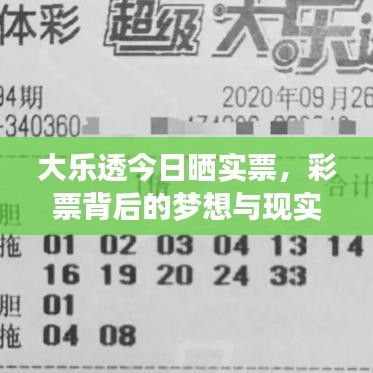 大樂透今日曬實票，彩票背后的夢想與現實揭秘
