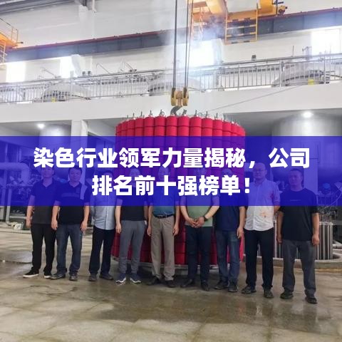 染色行業領軍力量揭秘，公司排名前十強榜單！