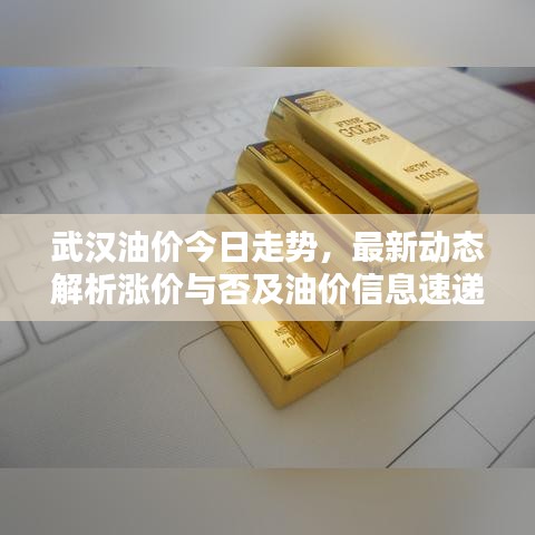 武漢油價今日走勢，最新動態解析漲價與否及油價信息速遞