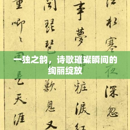 一獨(dú)之韻，詩歌璀璨瞬間的絢麗綻放