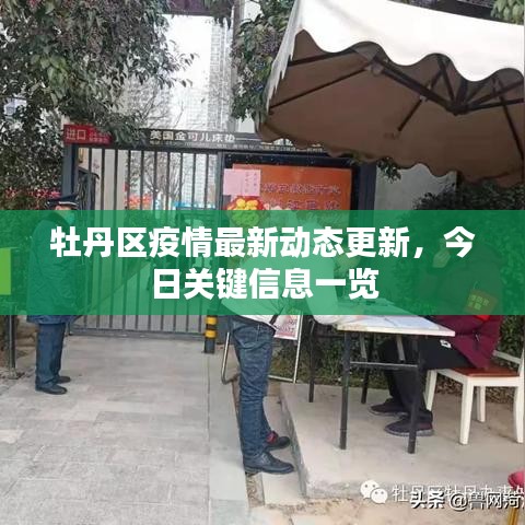 牡丹區(qū)疫情最新動態(tài)更新，今日關(guān)鍵信息一覽