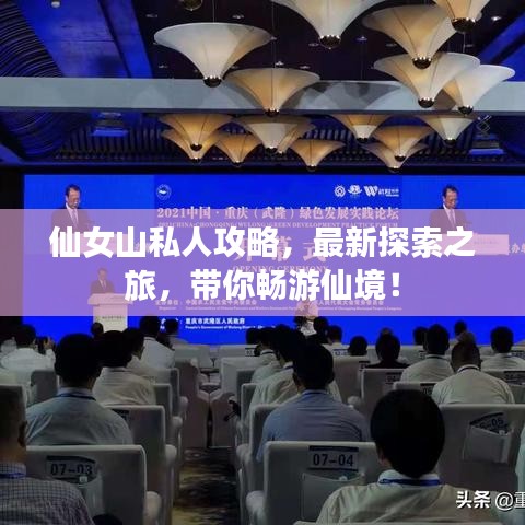 仙女山私人攻略，最新探索之旅，帶你暢游仙境！