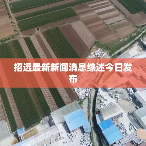 招遠最新新聞消息綜述今日發布