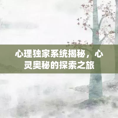 心理獨家系統揭秘，心靈奧秘的探索之旅