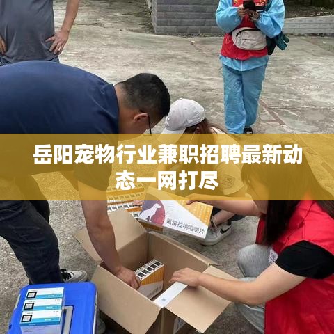 岳陽寵物行業(yè)兼職招聘最新動(dòng)態(tài)一網(wǎng)打盡