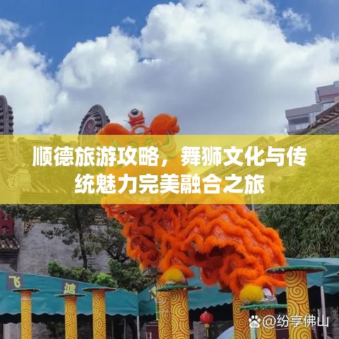 順德旅游攻略，舞獅文化與傳統(tǒng)魅力完美融合之旅