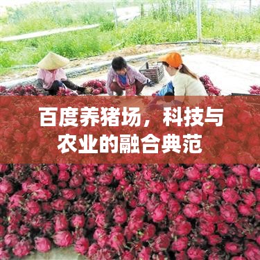 百度養豬場，科技與農業的融合典范