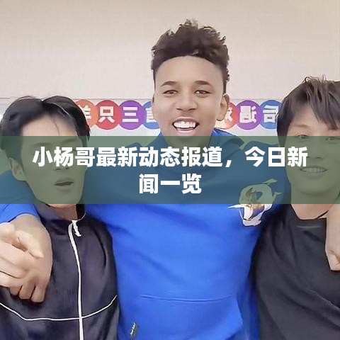 小楊哥最新動態報道，今日新聞一覽