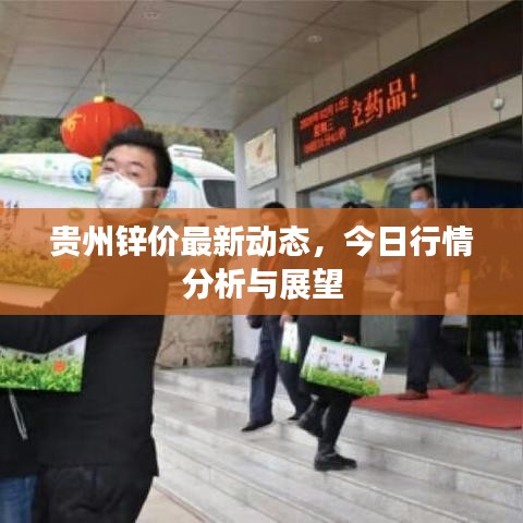 貴州鋅價(jià)最新動(dòng)態(tài)，今日行情分析與展望