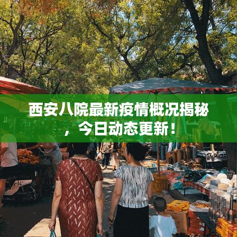 西安八院最新疫情概況揭秘，今日動(dòng)態(tài)更新！