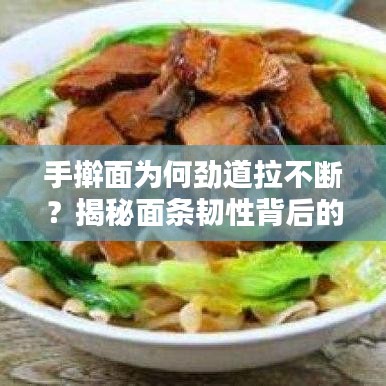 手搟面為何勁道拉不斷？揭秘面條韌性背后的秘密！