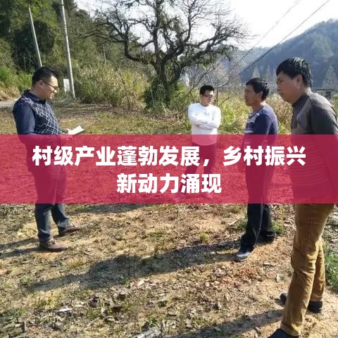 村級產業蓬勃發展，鄉村振興新動力涌現