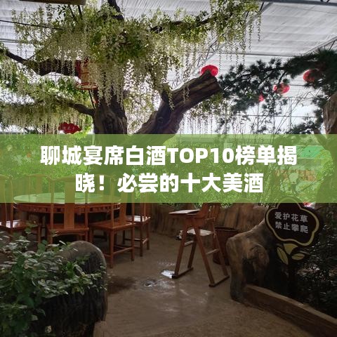 儀表堂堂