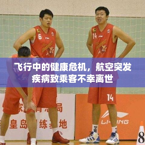 飛行中的健康危機，航空突發疾病致乘客不幸離世
