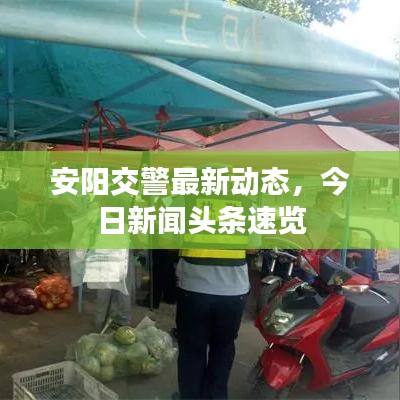 安陽交警最新動態，今日新聞頭條速覽