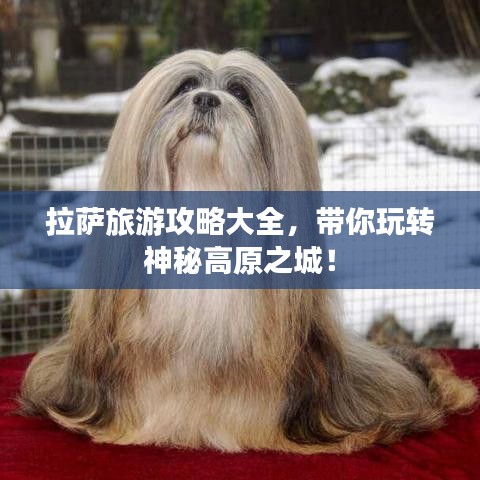 拉薩旅游攻略大全，帶你玩轉神秘高原之城！