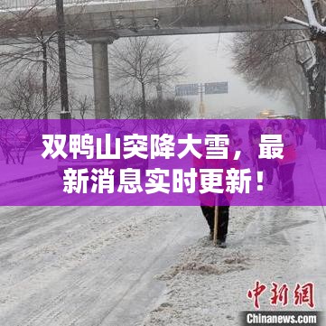 雙鴨山突降大雪，最新消息實時更新！