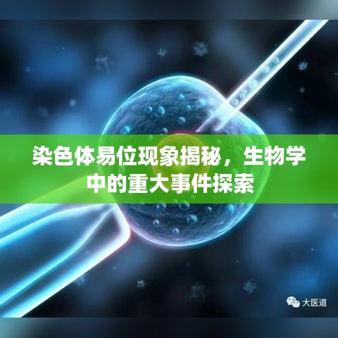 染色體易位現象揭秘，生物學中的重大事件探索
