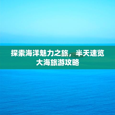 探索海洋魅力之旅，半天速覽大海旅游攻略