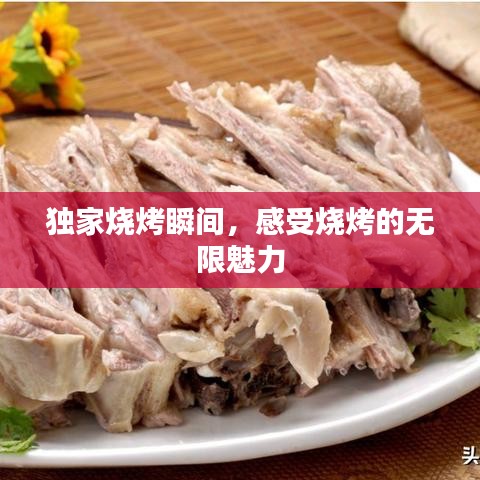 獨家燒烤瞬間，感受燒烤的無限魅力