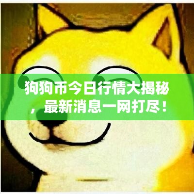 狗狗幣今日行情大揭秘，最新消息一網打盡！