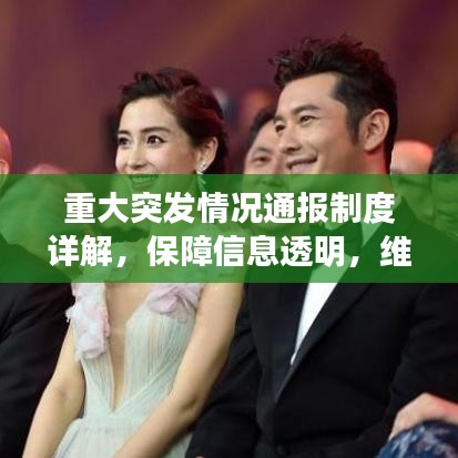 粗枝大葉