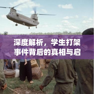 深度解析，學生打架事件背后的真相與啟示