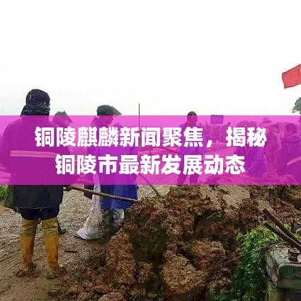 銅陵麒麟新聞聚焦，揭秘銅陵市最新發展動態