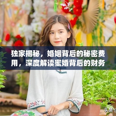 獨家揭秘，婚姻背后的秘密費用，深度解讀蜜婚背后的財務真相