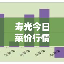 壽光今日菜價行情更新，最新消息一覽
