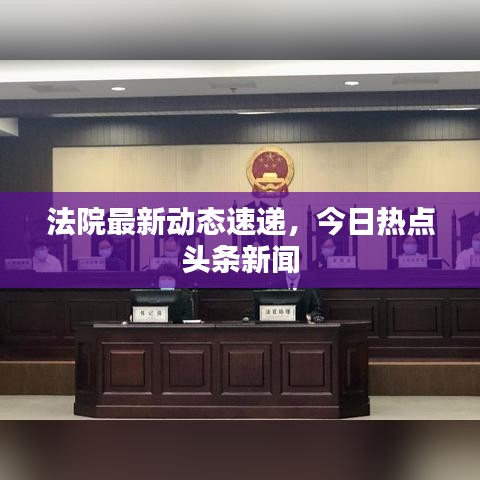 法院最新動態速遞，今日熱點頭條新聞