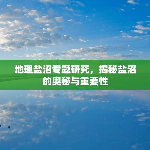地理鹽沼專題研究，揭秘鹽沼的奧秘與重要性