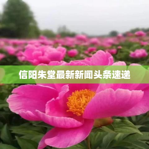 2025年3月 第8頁(yè)