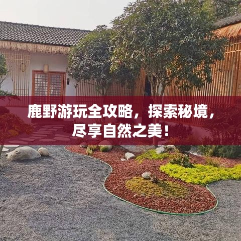 鹿野游玩全攻略，探索秘境，盡享自然之美！